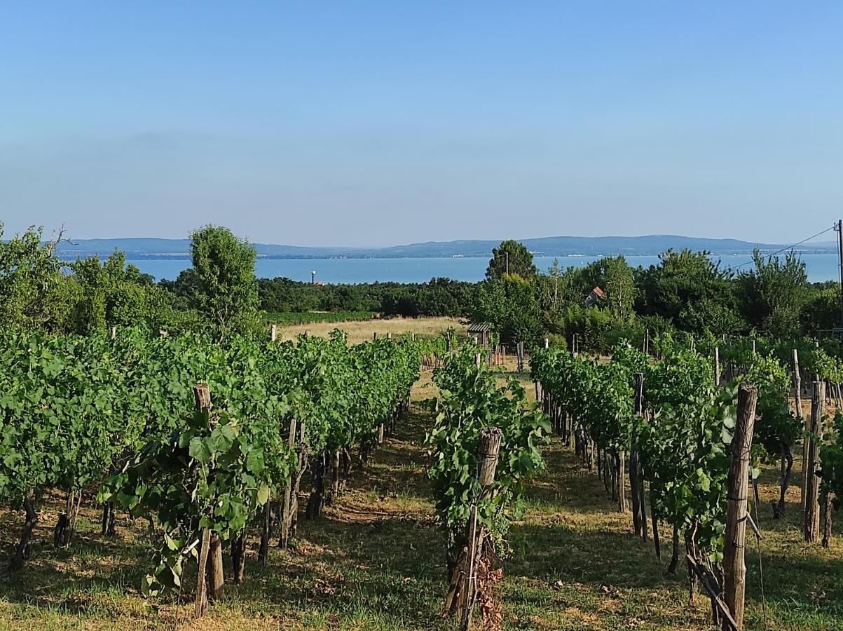 Kishaz A Szolohegyen Διαμέρισμα Balatonakali Εξωτερικό φωτογραφία